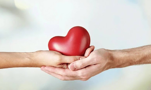NMN giúp bảo vệ tim mạch và hỗ trợ chuyển hóa