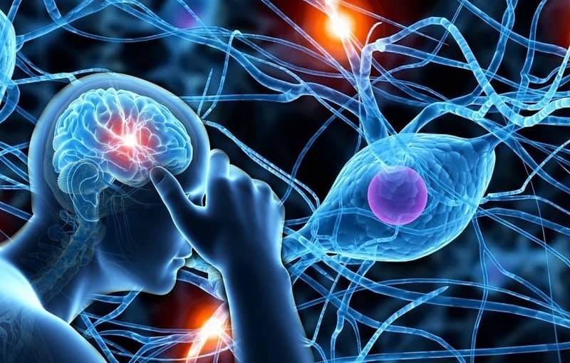 Trị liệu thần kinh thực vật ổn định huyết áp