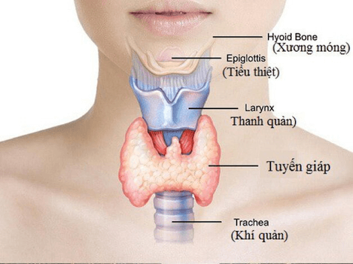 Biểu hiện, dấu hiệu suy giáp