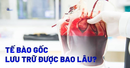 Tế bào gốc được lưu trữ lâu trong môi trường lạnh