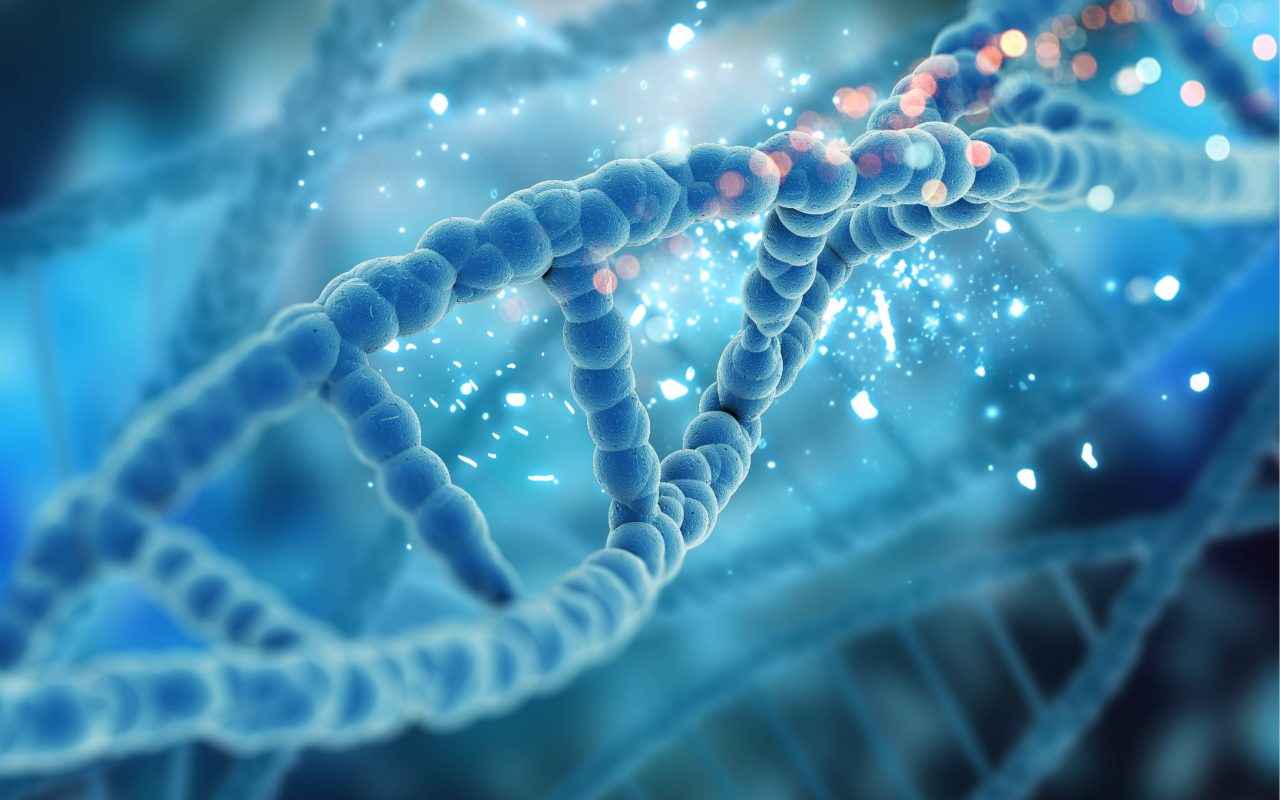 Thúc đẩy sửa chữa DNA và phục hồi mô tổn thương
