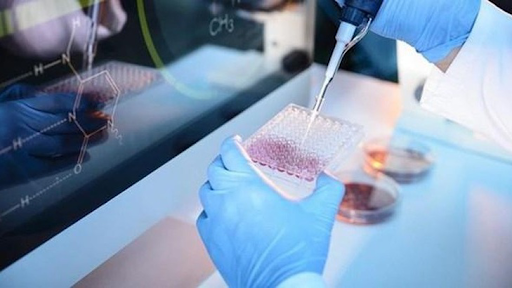 Tiềm năng của điều trị bằng tế bào gốc