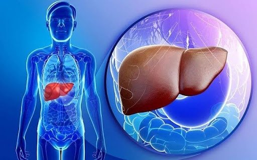 Ưu điểm và hạn chế của liệu pháp tế bào gốc trong điều trị xơ gan