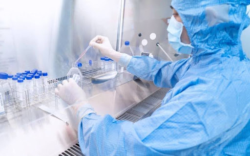 Điều trị xơ vữa động mạch bằng tế bào gốc