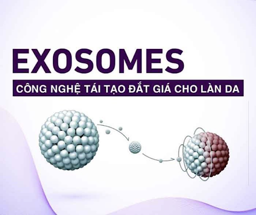 Liệu pháp Exosome