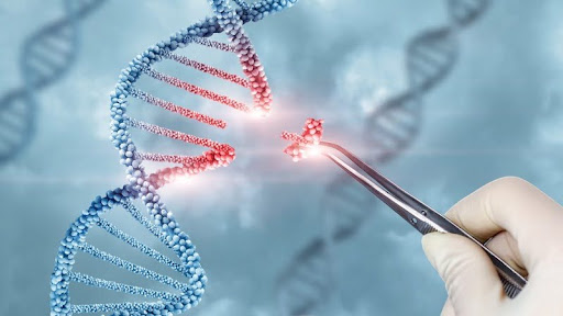 Liệu pháp Gen (Gene Therapy)