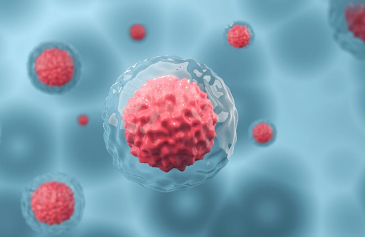 Exosome và tế bào gốc: Phân biệt chi tiết công dụng từng loại chất