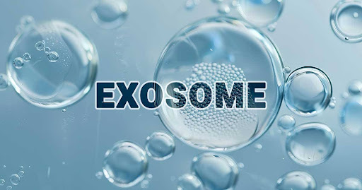 Tìm hiểu về exosome và tế bào gốc