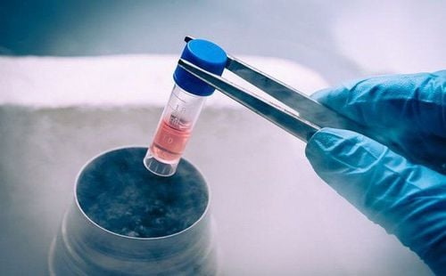 Tự tái tạo phôi nhân tạo hoàn chỉnh mà không cần giao tử